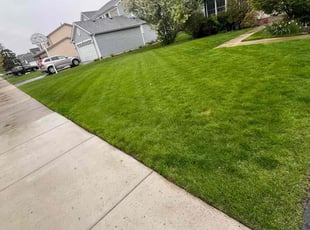 Nichole H.'s turf maintenance service result