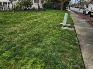 Leslie C.'s lawn care services service result