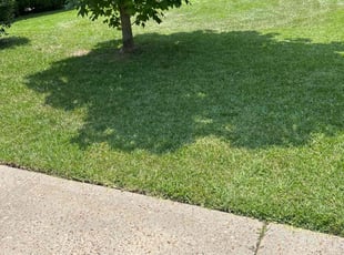 Deonte H.'s lawn maintenance service result