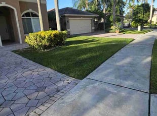 Imad M.'s grass cutting service result