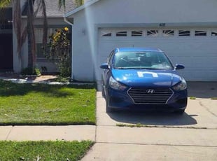 Tonya M.'s Long Grass Cleanup service result