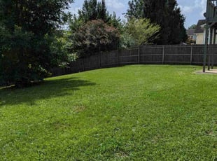 Martin P.'s yard care service result