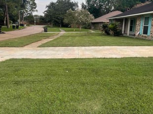 Michael G.'s grass maintenance service result