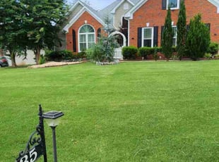 Jake J.'s lawn maintenance service result