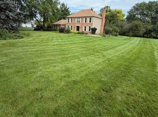Brandy S.'s grass cutting service result
