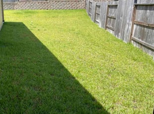 Barry P.'s grass cutting service result