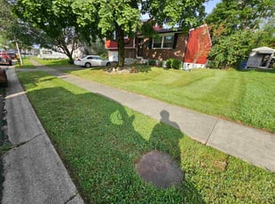 Anita P.'s grass cutting service result