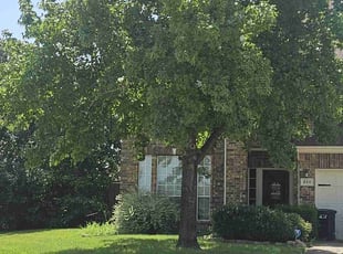 Anna S.'s lawn care services service result