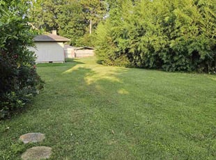 Gayle D.'s lawn maintenance service result