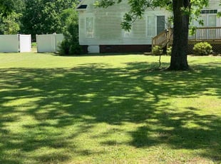 Jessenia G.'s grass maintenance service result