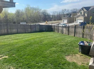 Jim R.'s grass cutting service result