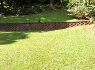 Shagufta A.'s lawn maintenance service result