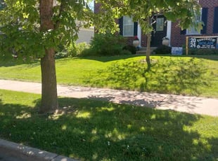 Melissa C.'s grass maintenance service result