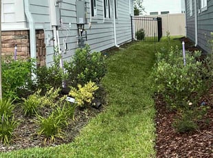 Crystal H.'s Long Grass Cleanup service result