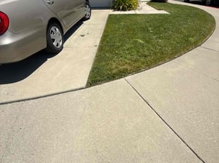 Betty W.'s grass maintenance service result