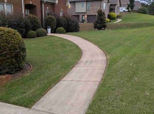 Jerry L.'s grass cutting service result