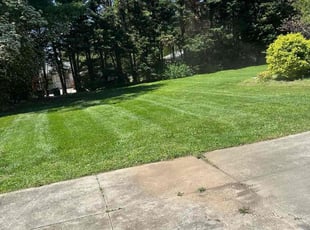 Kevin M.'s grass maintenance service result