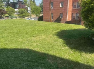 Chico M.'s lawn care services service result