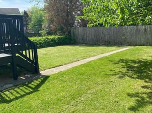 Kqurstin W.'s turf maintenance service result