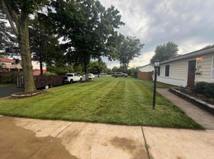 Anthony H.'s lawn maintenance service result