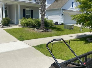 Maurice R.'s grass maintenance service result
