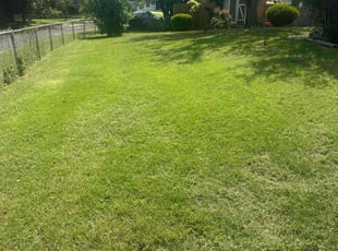 Jason E.'s turf care service result