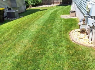 WALTER W.'s lawn care services service result