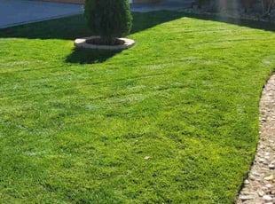 Jaden W.'s lawn service service result