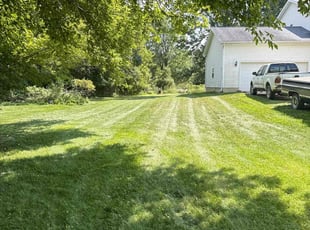 Raul R.'s turf maintenance service result