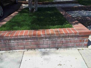 Mark S.'s lawn maintenance service result