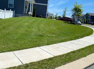 Ken B.'s lawn care service result