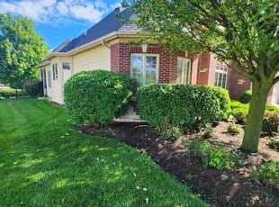 Chloe R.'s Bush Trimming service result