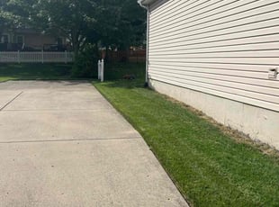 Terry B.'s lawn care services service result