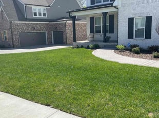Teresa B.'s lawn care service result