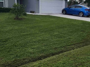 Tessa R.'s lawn care service result