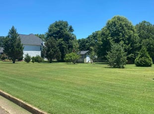 Shemeca S.'s lawn care services service result