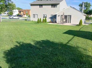 David T.'s lawn care service result