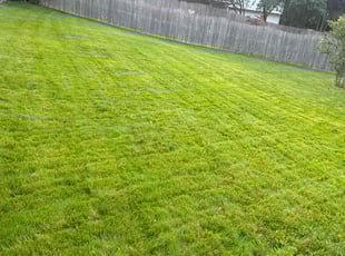 Robert M.'s grass cutting service result