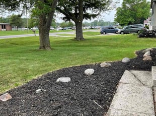 Lavon P.'s lawn maintenance service result