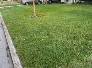 Jordan A.'s lawn care services service result