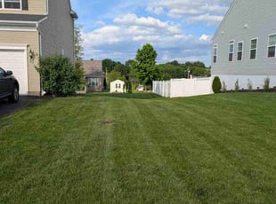Martha M.'s turf maintenance service result