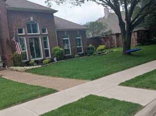 Leonard B.'s grass cutting service result