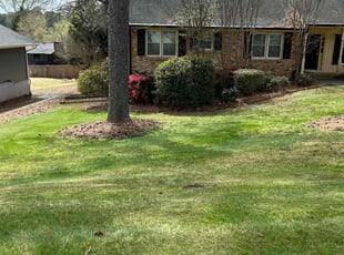 Josh H.'s lawn service service result