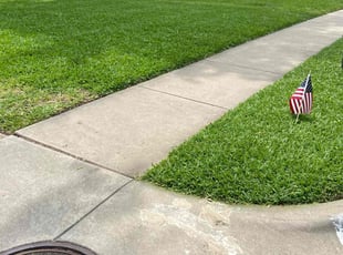 Lowe G.'s turf care service result