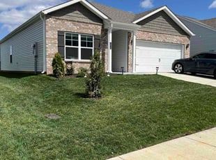 Arianni N.'s lawn service service result