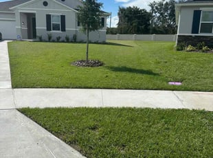 Kimberly T.'s grass cutting service result