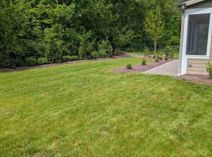 Danny H.'s grass maintenance service result