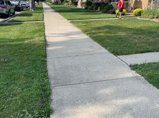 Lisa E.'s lawn maintenance service result
