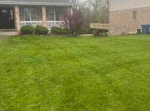 Sharon M.'s lawn maintenance service result