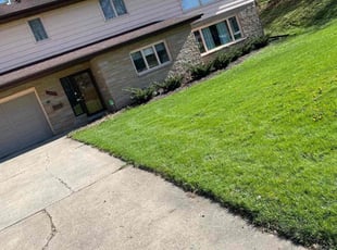 Patricia T.'s yard service service result